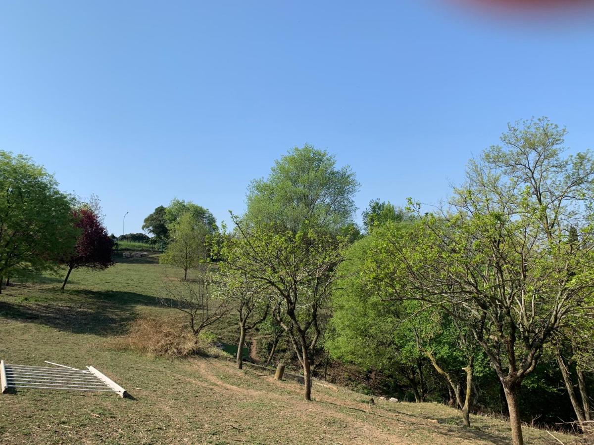 ורונה Villa Isidoro Ampio Parco ,Piscina Privata, Arte E Giochi , Fitness מראה חיצוני תמונה