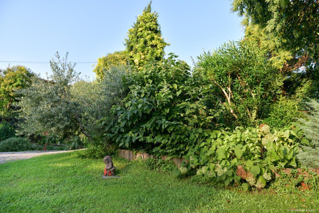 ורונה Villa Isidoro Ampio Parco ,Piscina Privata, Arte E Giochi , Fitness מראה חיצוני תמונה
